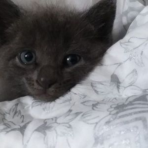 Meet your Posher, Pat